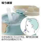 リッチェル トライ 保冷ストローマグSD ライトブルー（LB）300mL ステンレス ストローボトル 真空断熱【送料無料　沖縄・一部地域を除く】