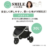 【シートマットプレゼント】アップリカ スムーヴ AE オリーブライン　ＧＮ 【P/N】3輪タイプベビーカー　バギー　2020年モデル【3年保証対象品】